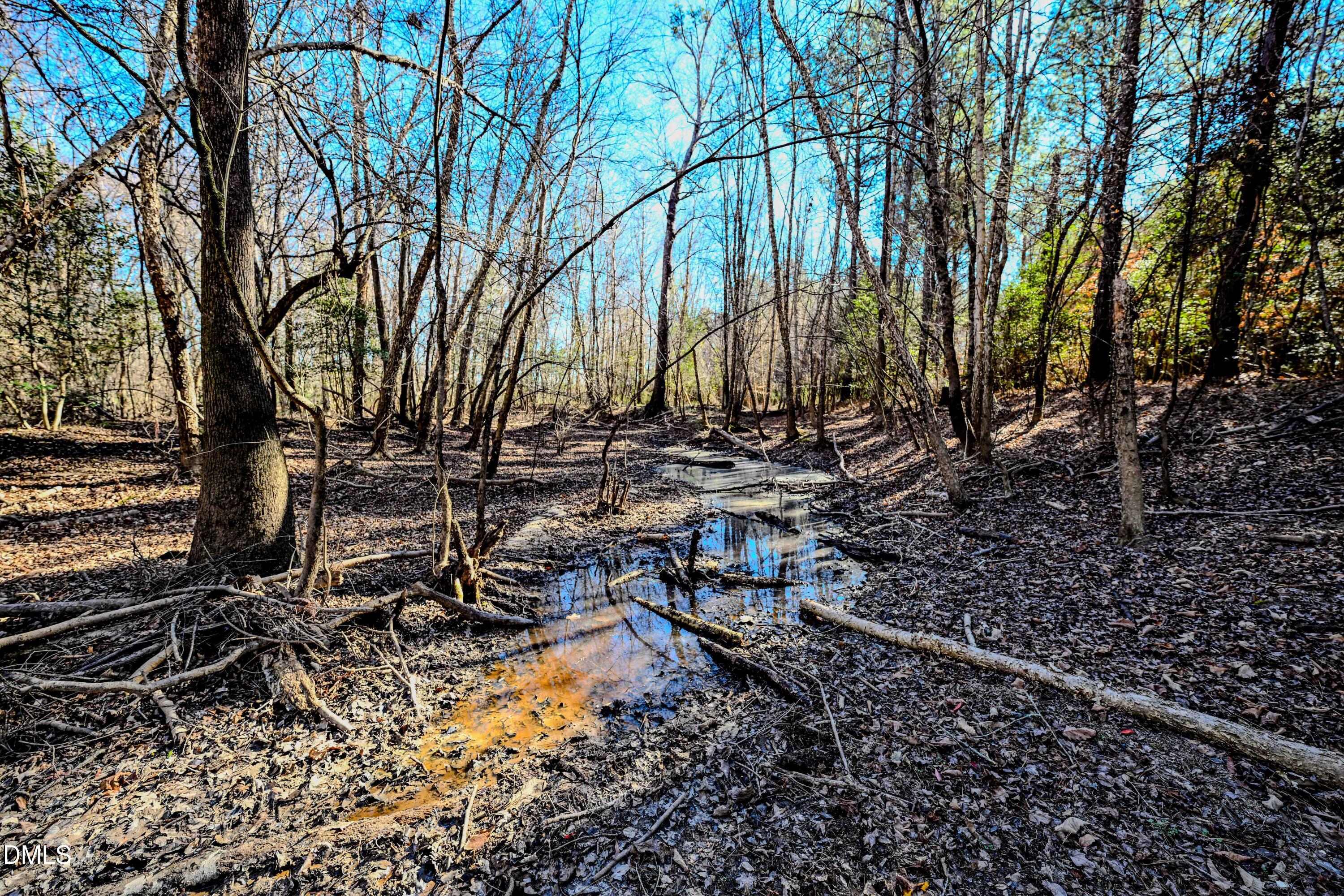2729 McNeill Hobbs Road Bunnlevel, NC 28323 - Photo 53 of 75 a backyard of a house with lots of green space
