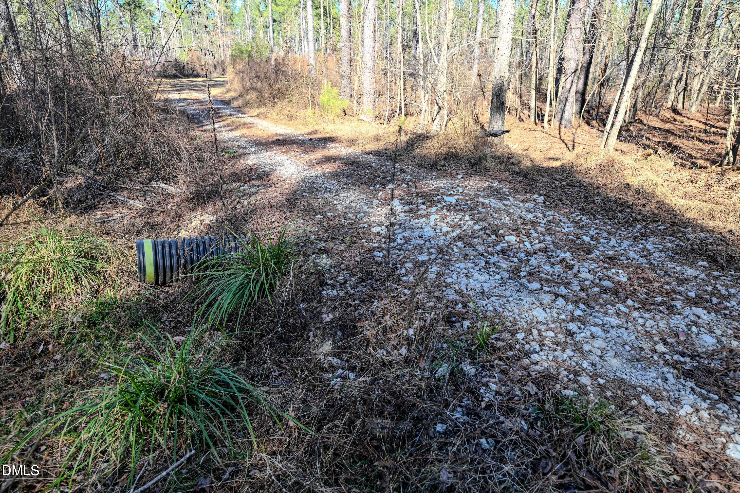 2729 McNeill Hobbs Road Bunnlevel, NC 28323 - Photo 56 of 75 a view of back yard of the house