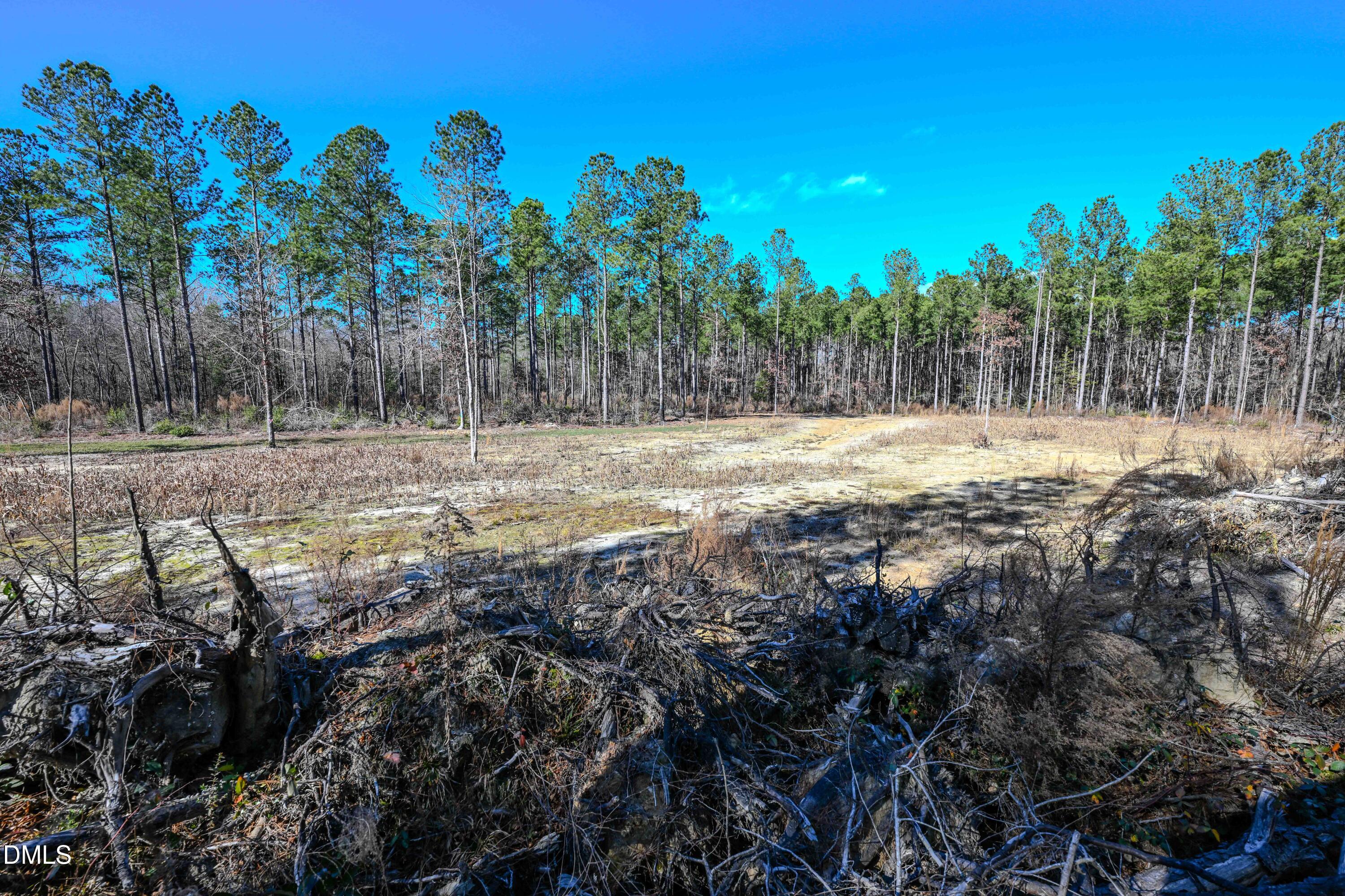 2729 McNeill Hobbs Road Bunnlevel, NC 28323 - Photo 65 of 75 068