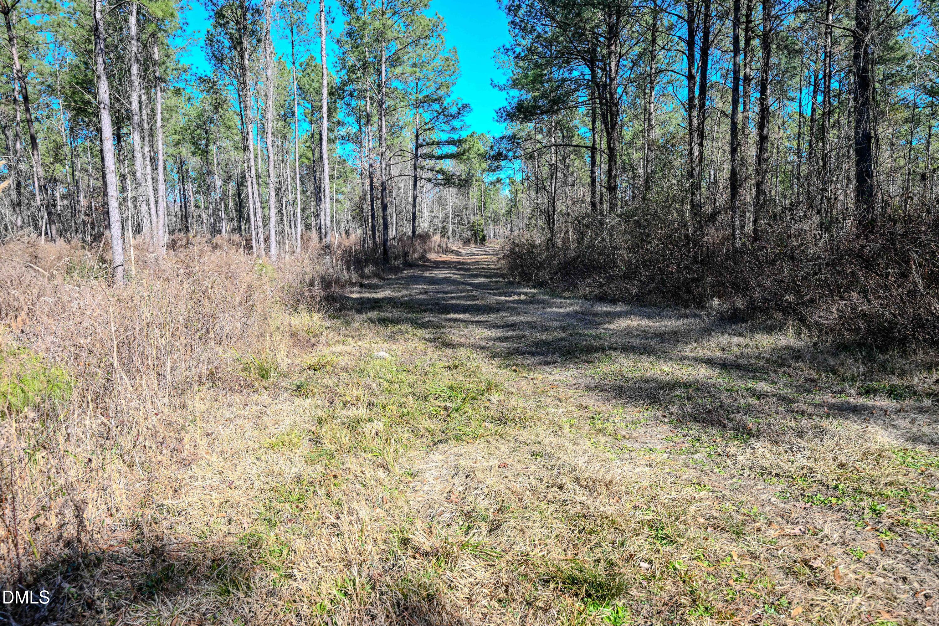 2729 McNeill Hobbs Road Bunnlevel, NC 28323 - Photo 67 of 75 a view of a yard with trees