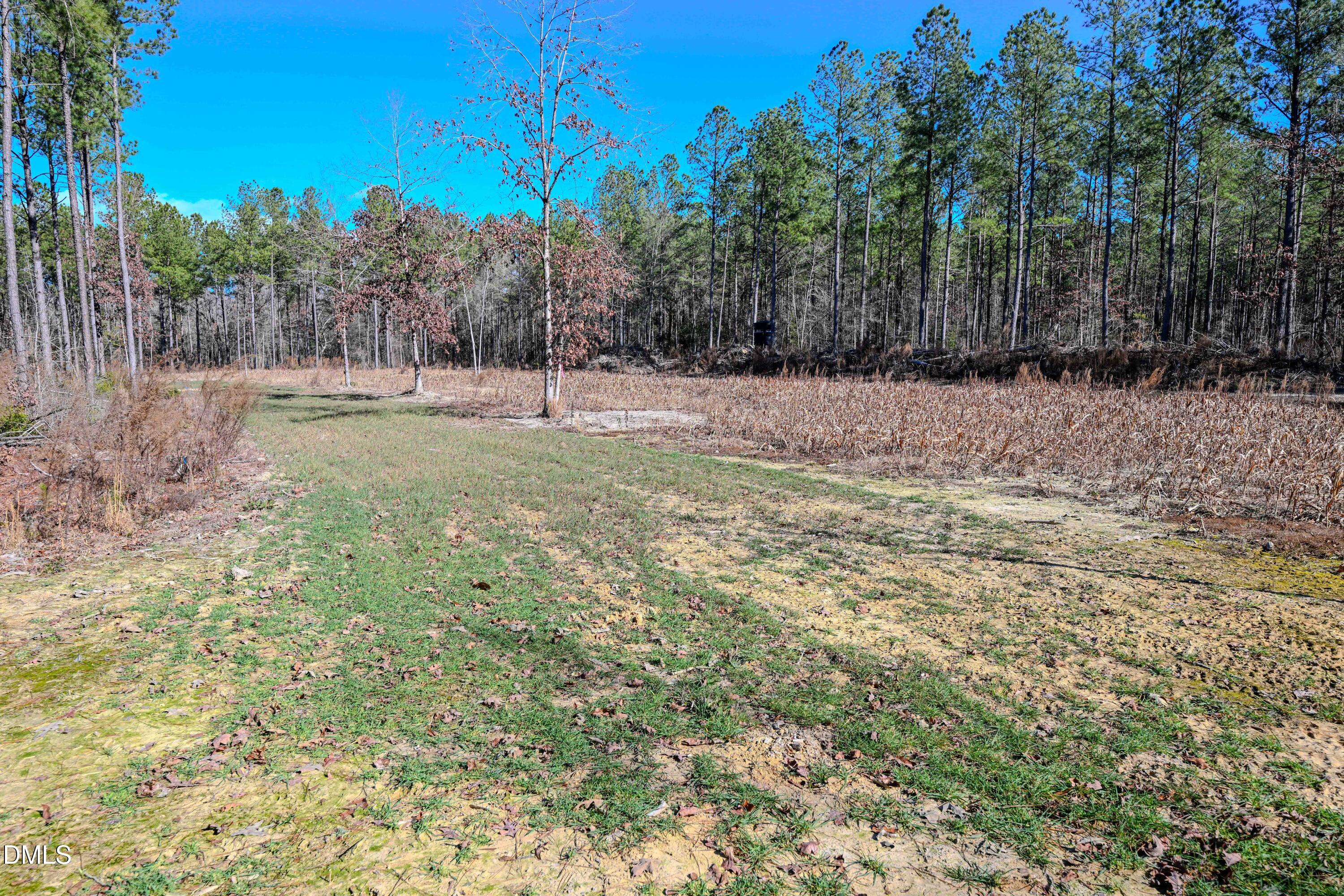 2729 McNeill Hobbs Road Bunnlevel, NC 28323 - Photo 69 of 75 a view of backyard with green space
