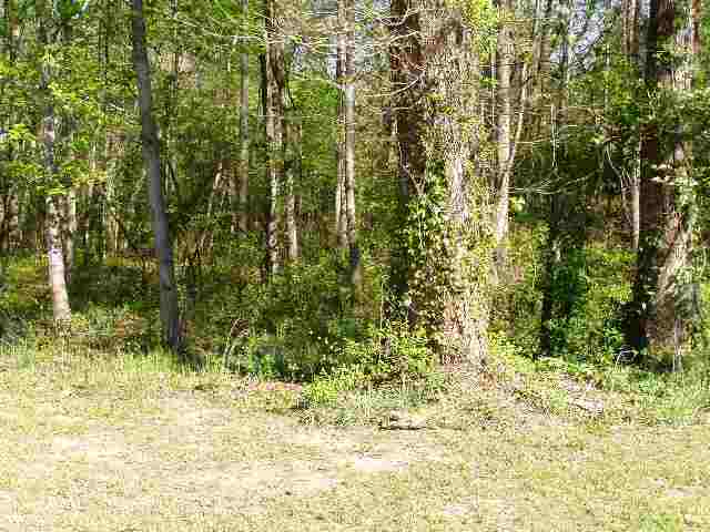 102 Richardson Road Simpsonville, SC 29680 - Photo 4 of 4