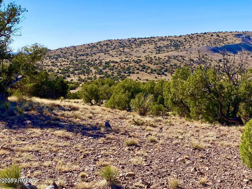 5062 Tbd Co Road Concho, AZ 85924 - Photo 11 of 26 20250525221802264392000000-o