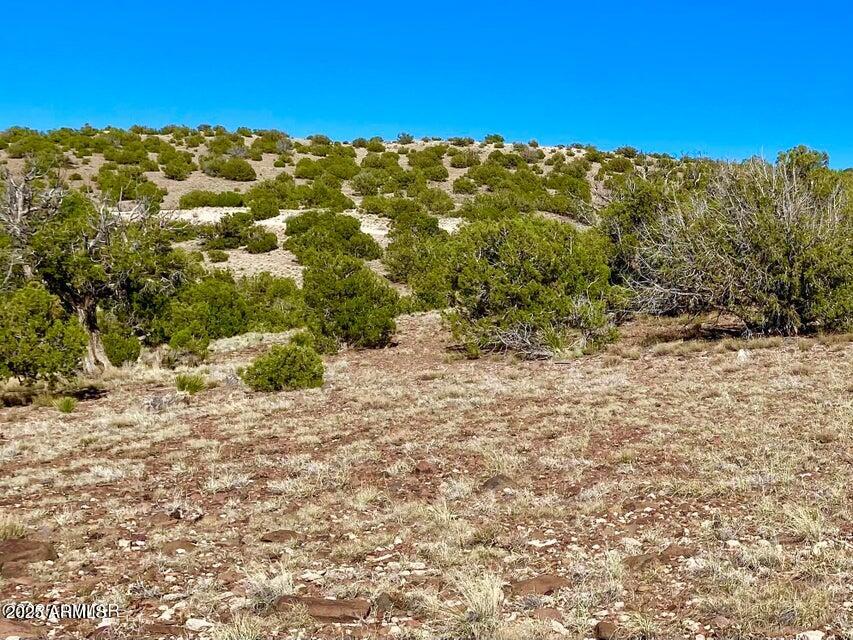 5062 Tbd Co Road Concho, AZ 85924 - Photo 12 of 26 20250525221540911200000000-o