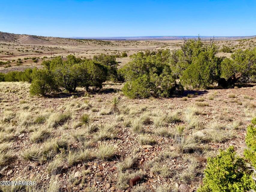 5062 Tbd Co Road Concho, AZ 85924 - Photo 13 of 26 20250525221553661226000000-o