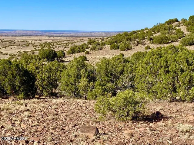 a view of an outdoor space