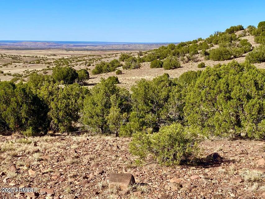 5062 Tbd Co Road Concho, AZ 85924 - Photo 16 of 26 20250525221927034117000000-o