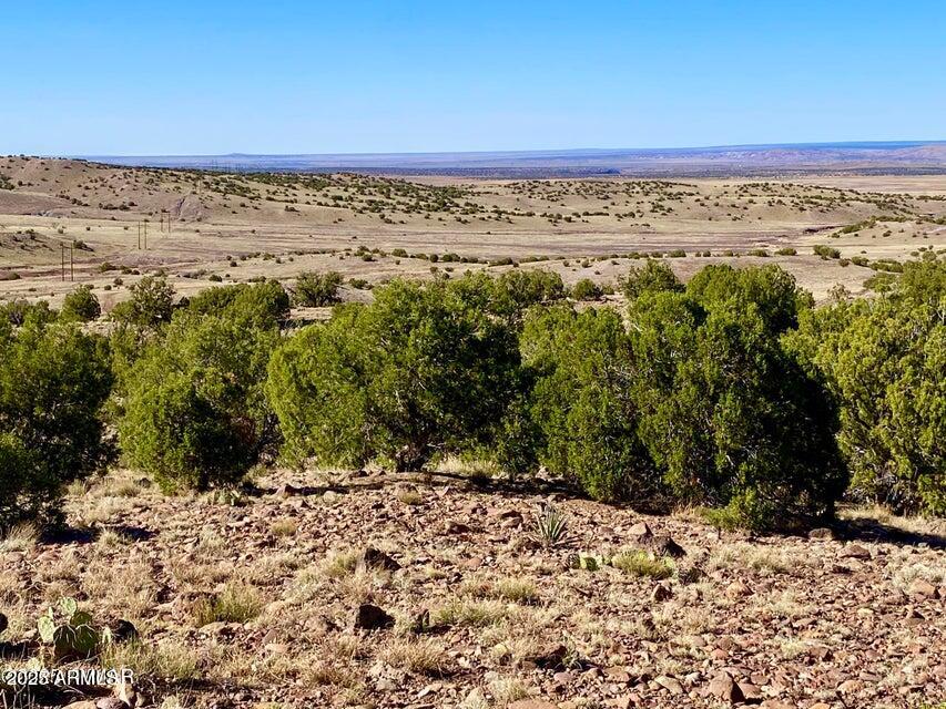 5062 Tbd Co Road Concho, AZ 85924 - Photo 17 of 26 20250525222135882993000000-o