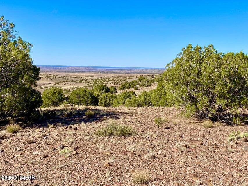 5062 Tbd Co Road Concho, AZ 85924 - Photo 18 of 26 20250525223126758976000000-o