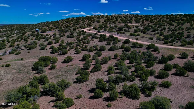 an aerial view of beach and tree