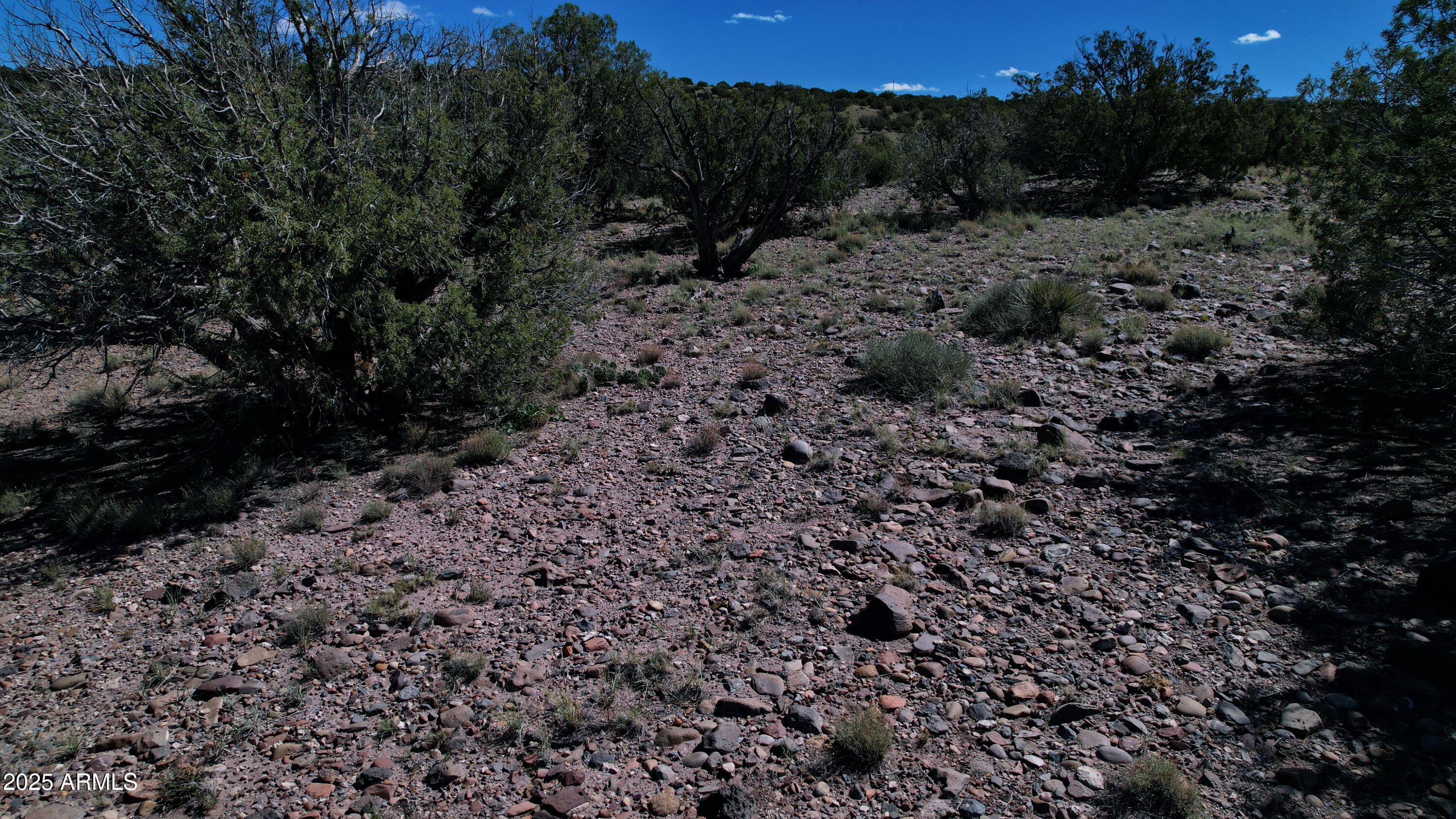 5062 Tbd Co Road Concho, AZ 85924 - Photo 23 of 26 East-2-1