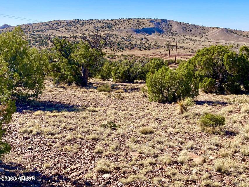 5062 Tbd Co Road Concho, AZ 85924 - Photo 5 of 26 20250525221601823469000000-o