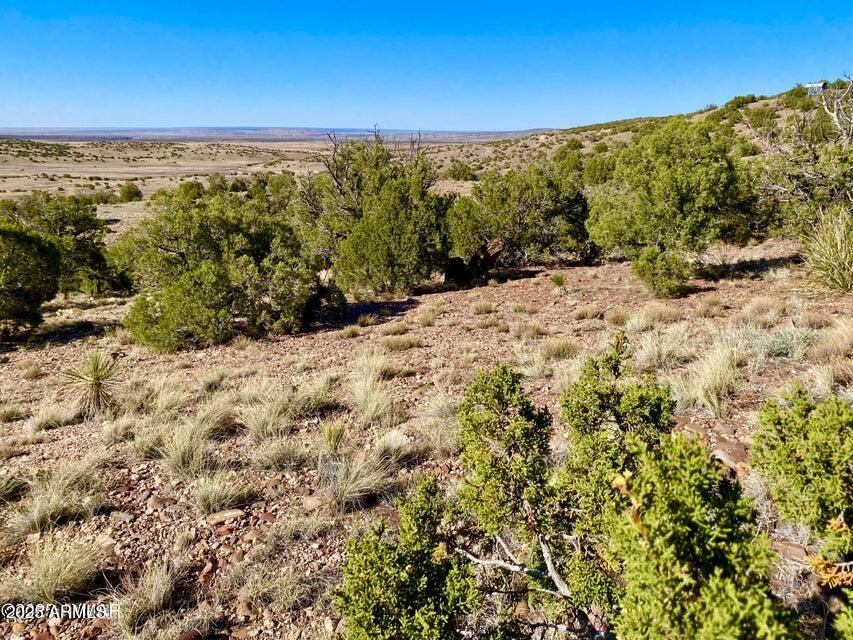 5062 Tbd Co Road Concho, AZ 85924 - Photo 6 of 26 20250525221613656252000000-o