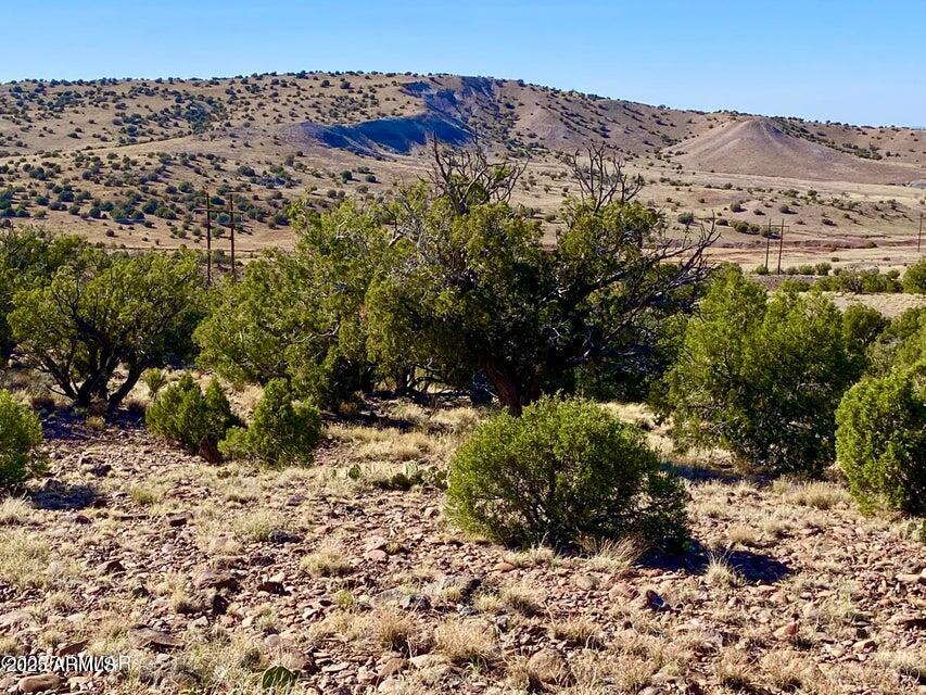 5062 Tbd Co Road Concho, AZ 85924 - Photo 8 of 26 20250525221816900479000000-o