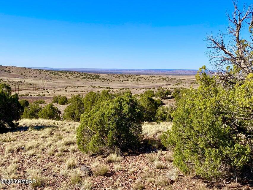 5062 Tbd Co Road Concho, AZ 85924 - Photo 9 of 26 20250525221621805545000000-o
