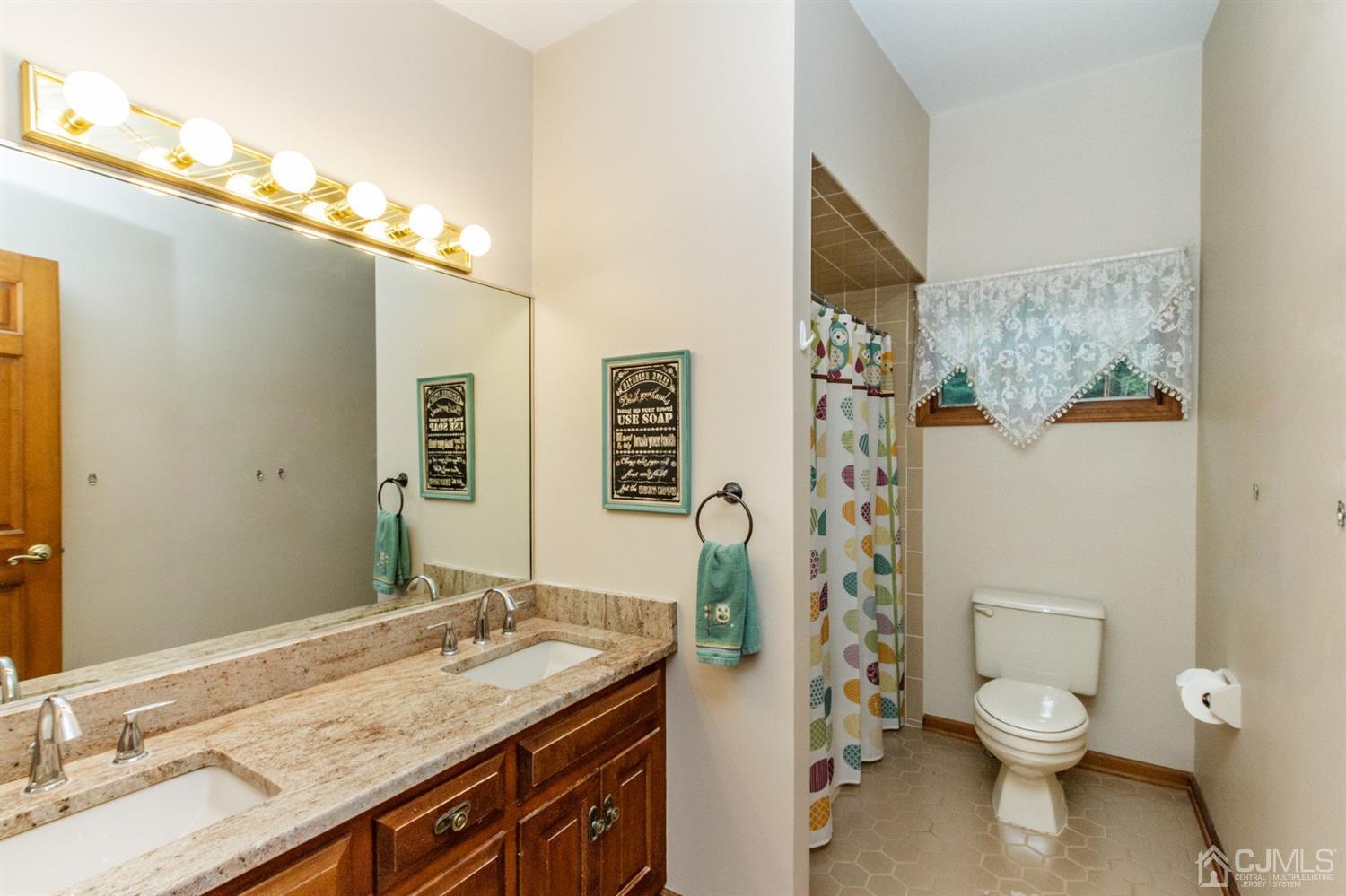 66 Rustic Trail Flemington, NJ 08822 - Photo 30 of 37 a bathroom with a granite countertop sink toilet and shower