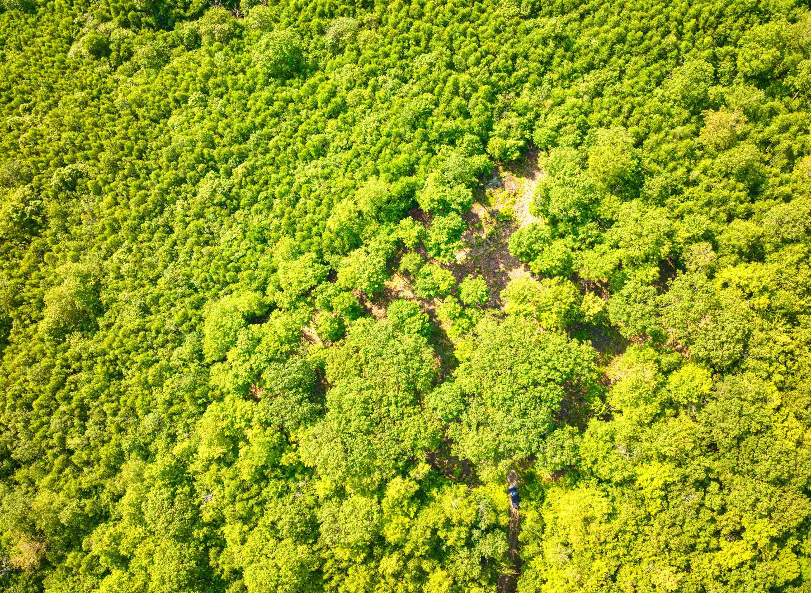 0 Beech Hill Road Andover, NH 03216 - Photo 13 of 28