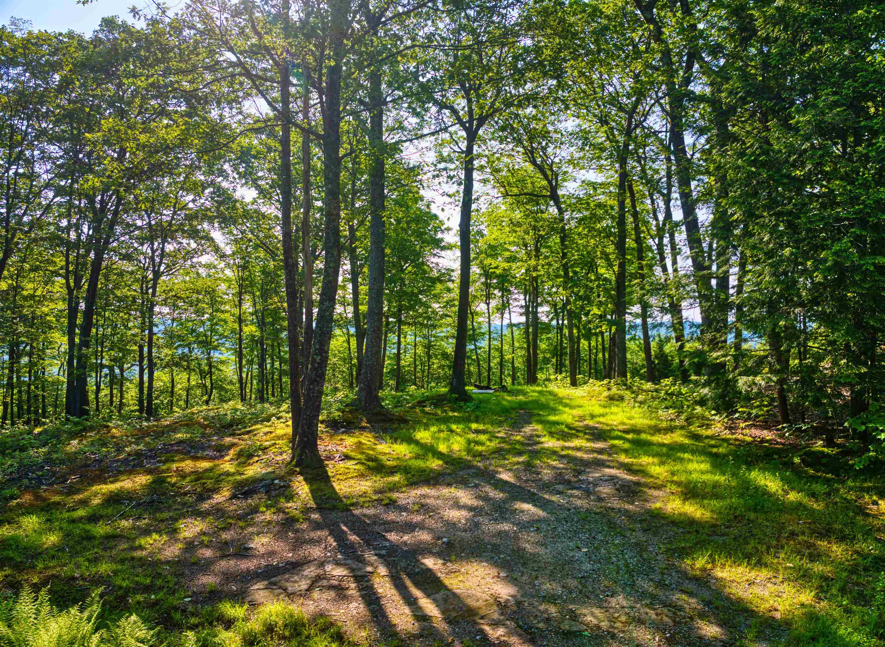 0 Beech Hill Road Andover, NH 03216 - Photo 17 of 28