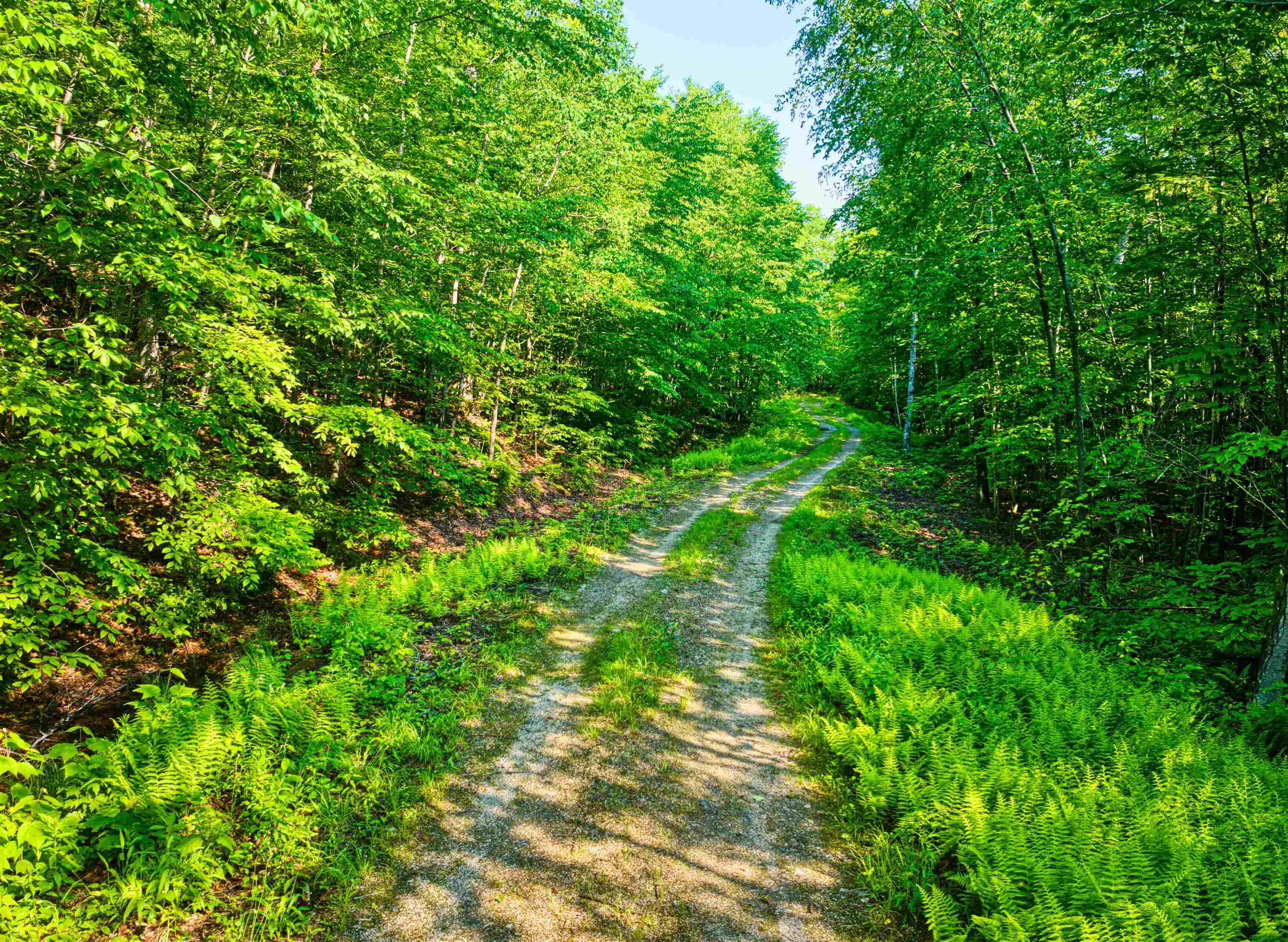 0 Beech Hill Road Andover, NH 03216 - Photo 23 of 28