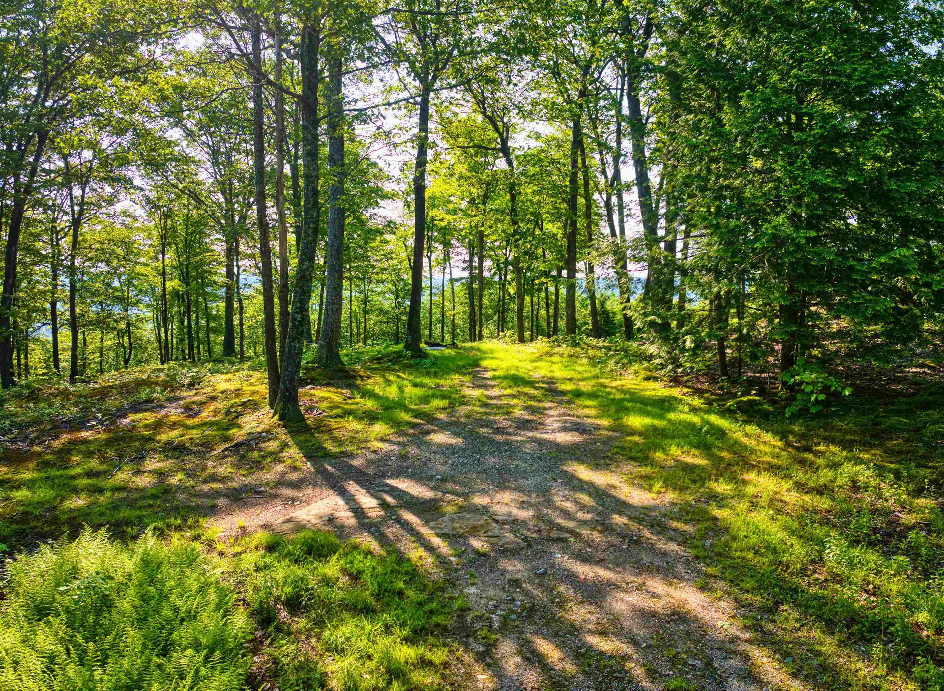 0 Beech Hill Road Andover, NH 03216 - Photo 24 of 28