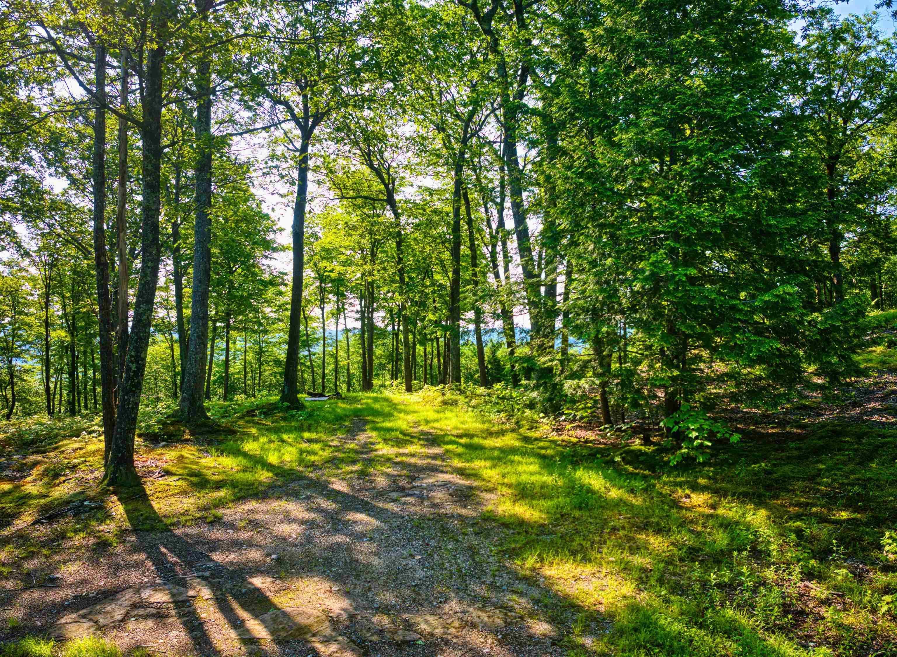 0 Beech Hill Road Andover, NH 03216 - Photo 4 of 28