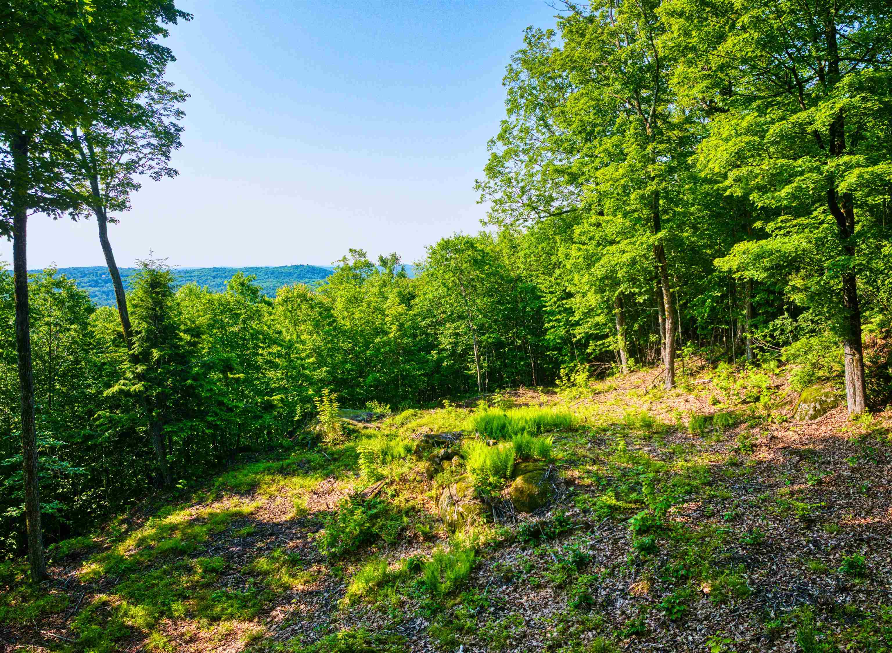 0 Beech Hill Road Andover, NH 03216 - Photo 5 of 28