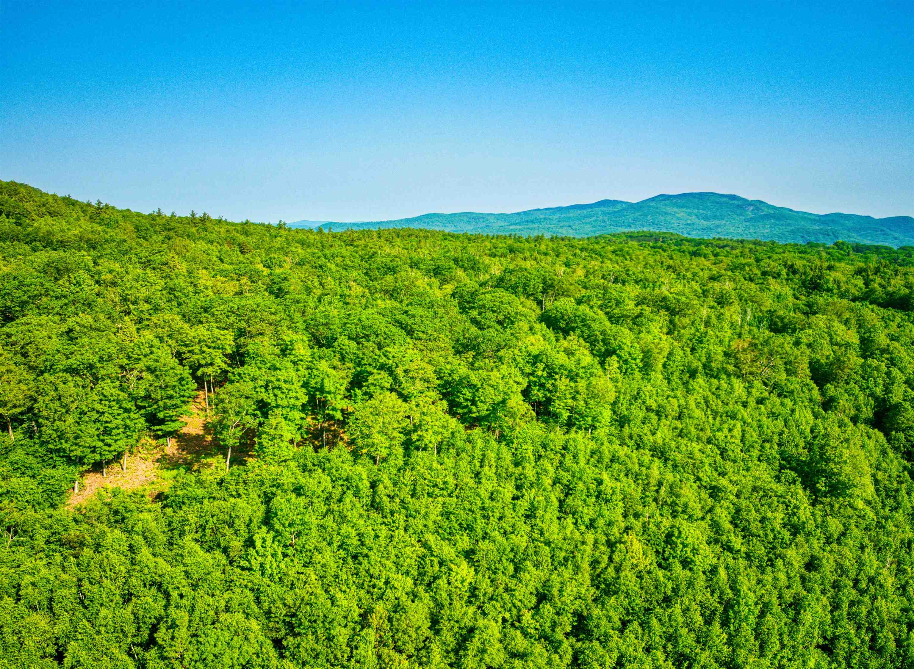 0 Beech Hill Road Andover, NH 03216 - Photo 6 of 28