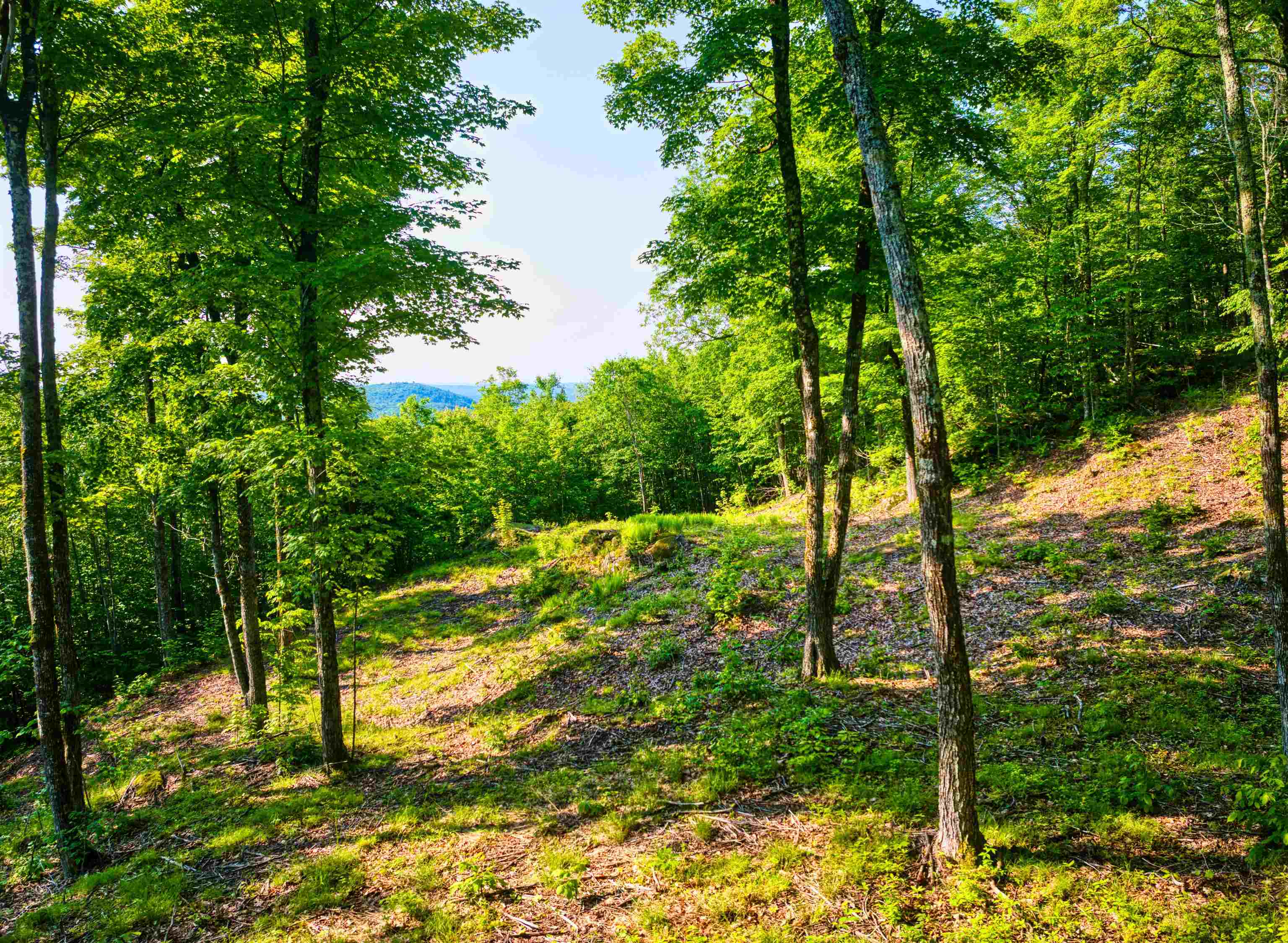 0 Beech Hill Road Andover, NH 03216 - Photo 8 of 28