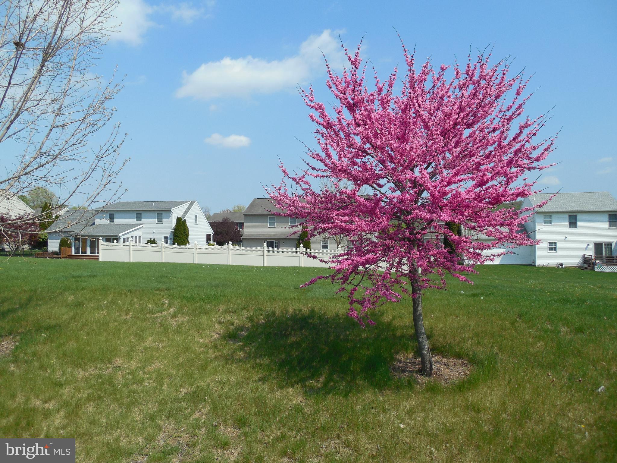 115 Olde Hickory Road Mount Wolf, PA 17347 - Photo 55 of 63 Gallery Image 55