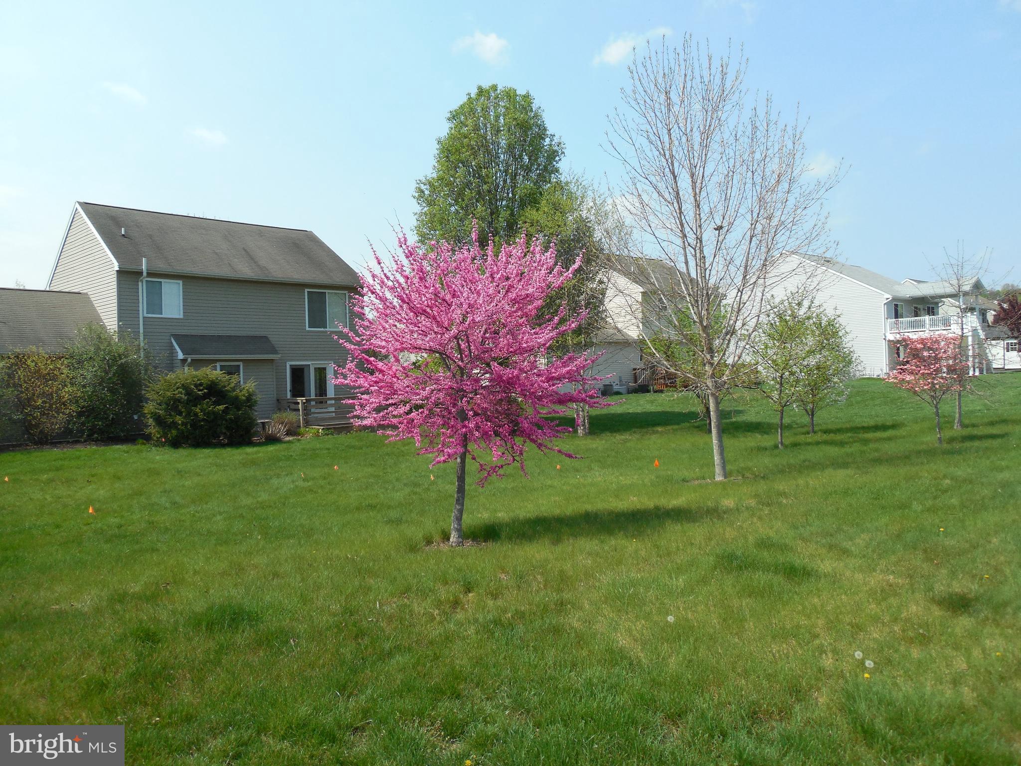 115 Olde Hickory Road Mount Wolf, PA 17347 - Photo 56 of 63 Gallery Image 56