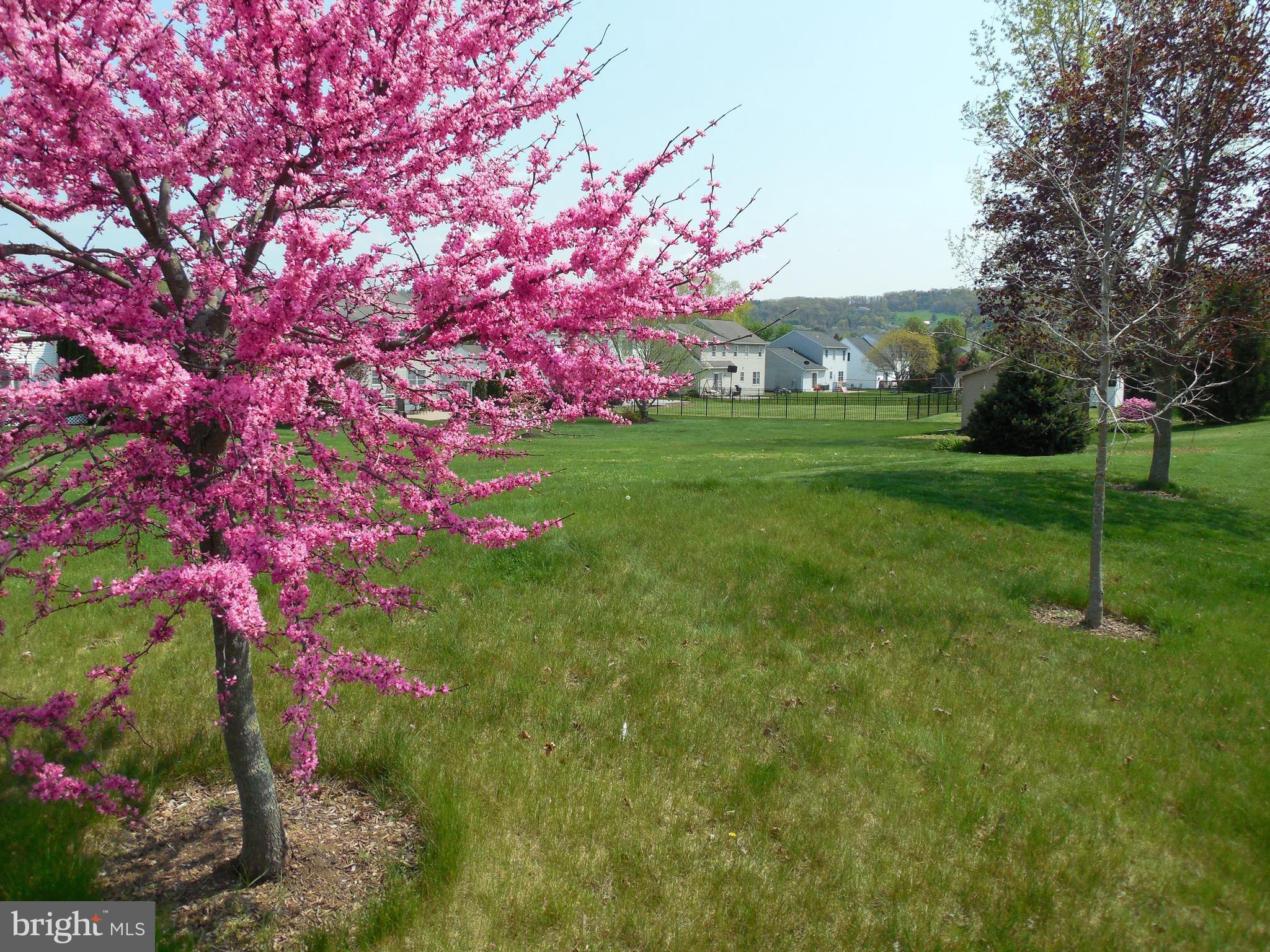 115 Olde Hickory Road Mount Wolf, PA 17347 - Photo 57 of 63 Gallery Image 57