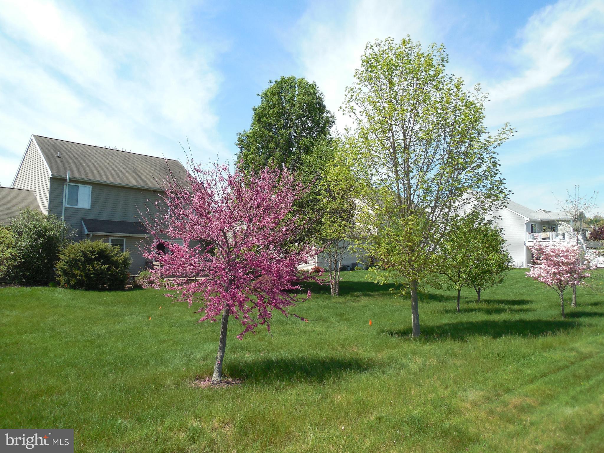115 Olde Hickory Road Mount Wolf, PA 17347 - Photo 59 of 63 Gallery Image 59