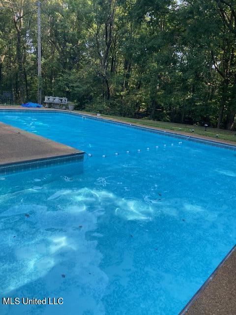 365 Cedar Hills Road Holly Springs, MS 38635 - Photo 3 of 9 pool 2