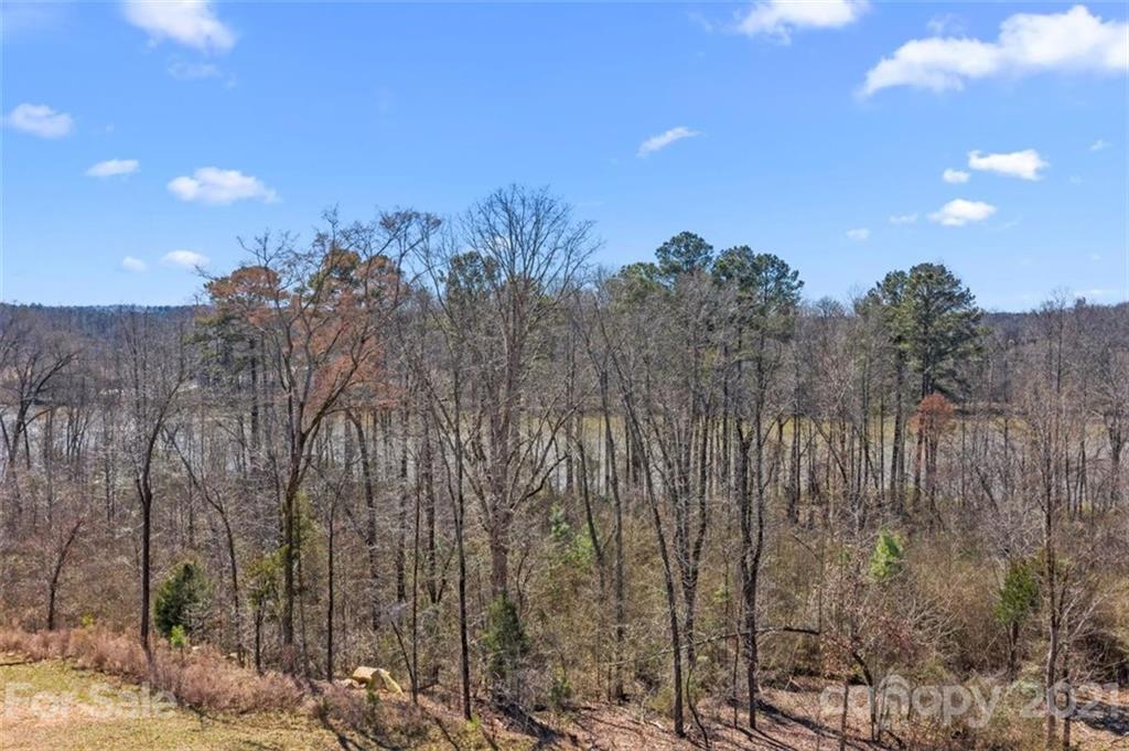 2143 Hanging Rock Road Fort Mill, SC 29715 - Photo 20 of 48 Gallery Image 20