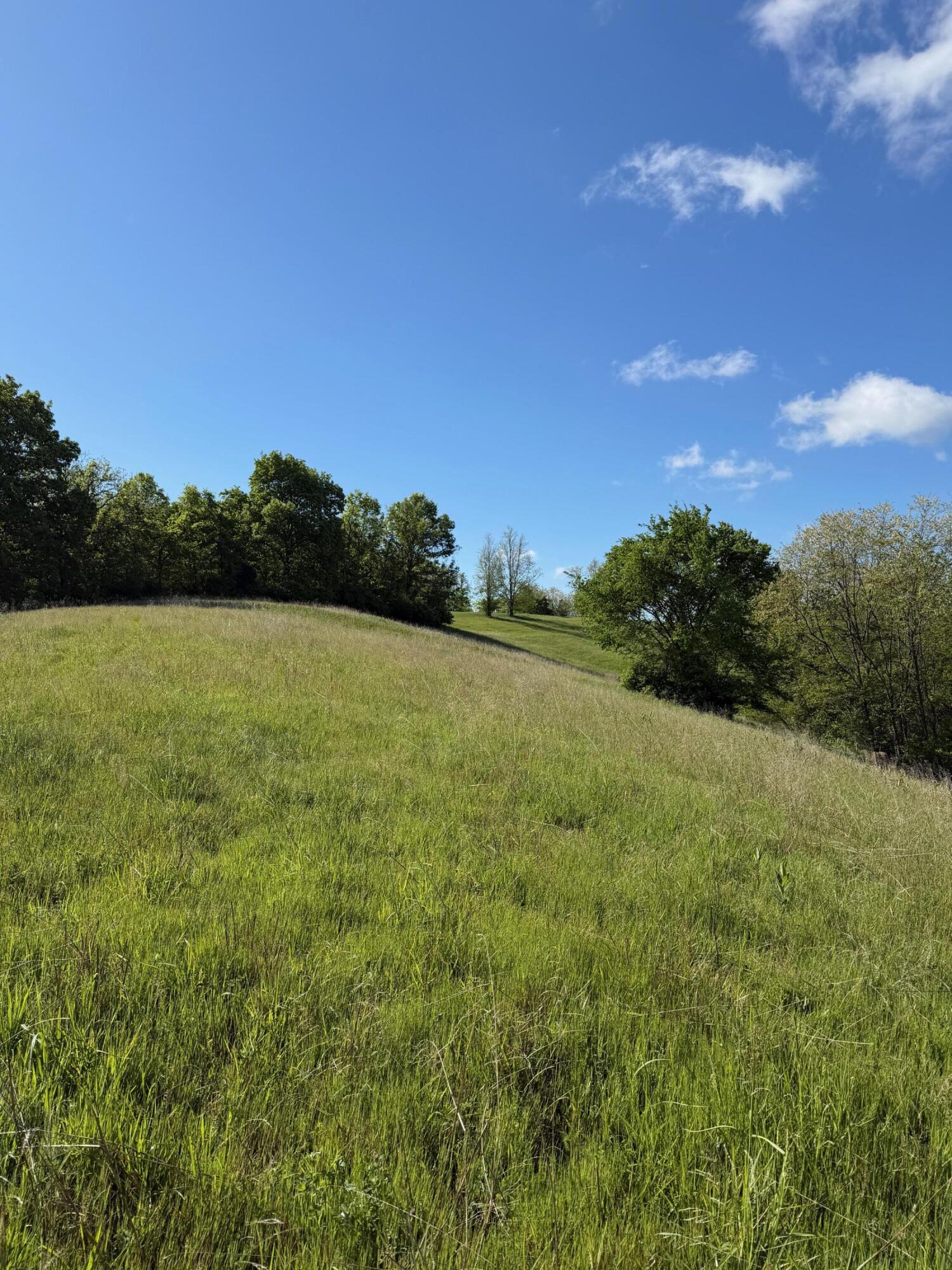 11.19-ac Chipman Ridge Road Williamstown, KY 41097 - Photo 6 of 12