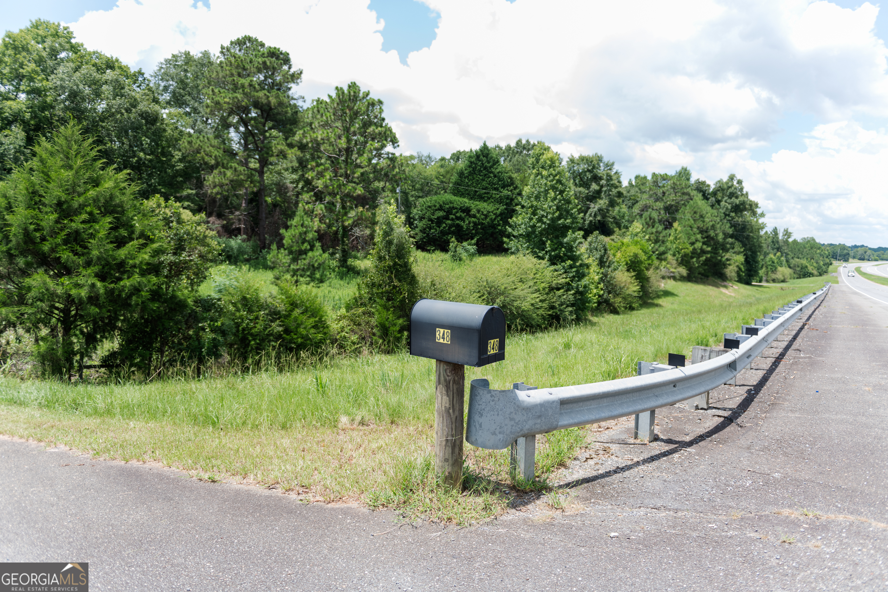 348 Americus Highway Butler, GA 31006 - Photo 58 of 59 a view of a garden with large trees
