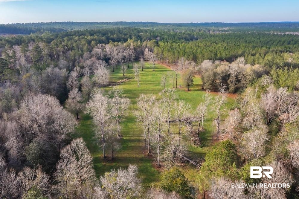 0 Private Road Millry, AL 36558 - Photo 11 of 50
