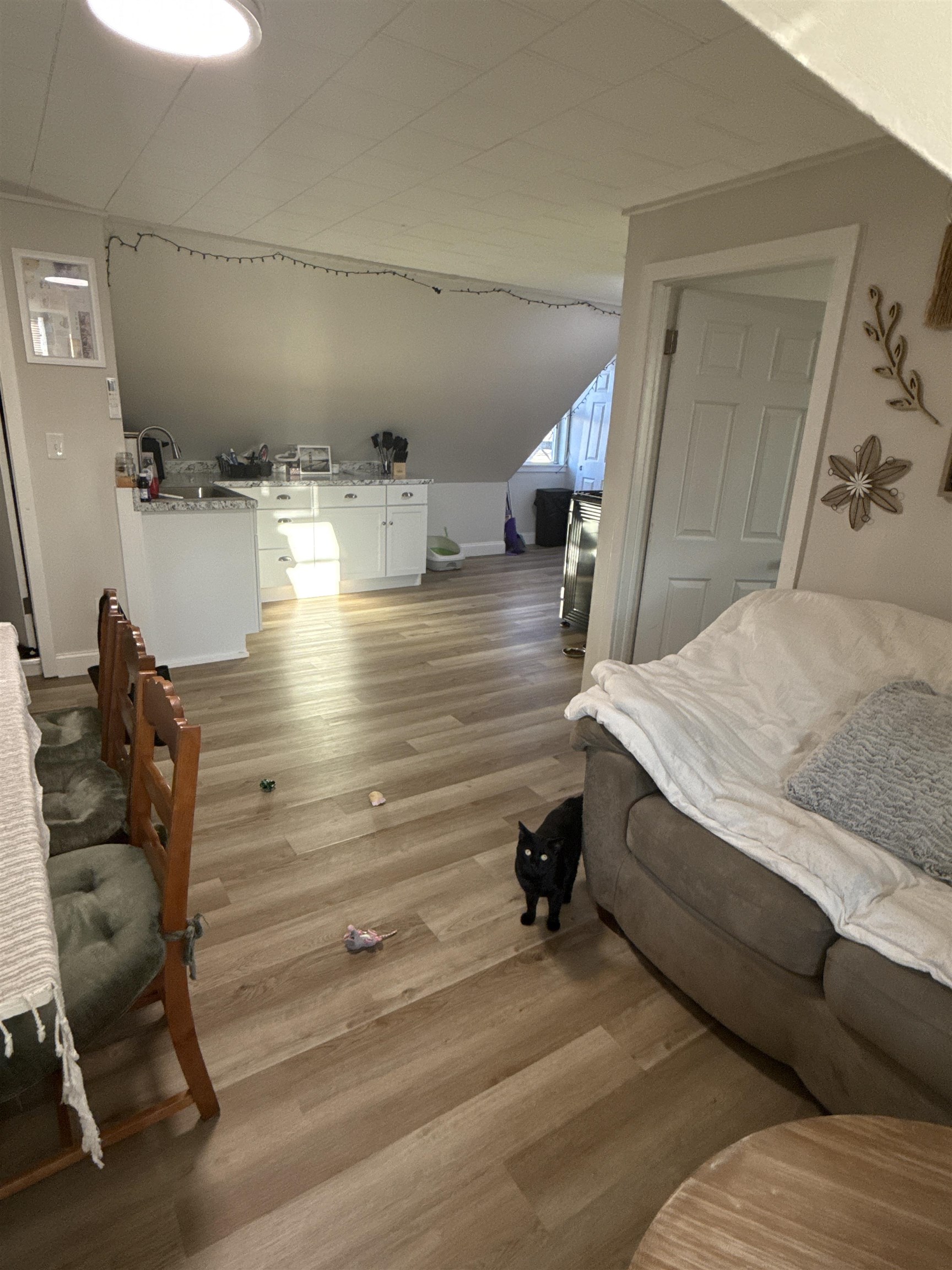 1 Amory Street Nashua, NH 03060 - Photo 6 of 18