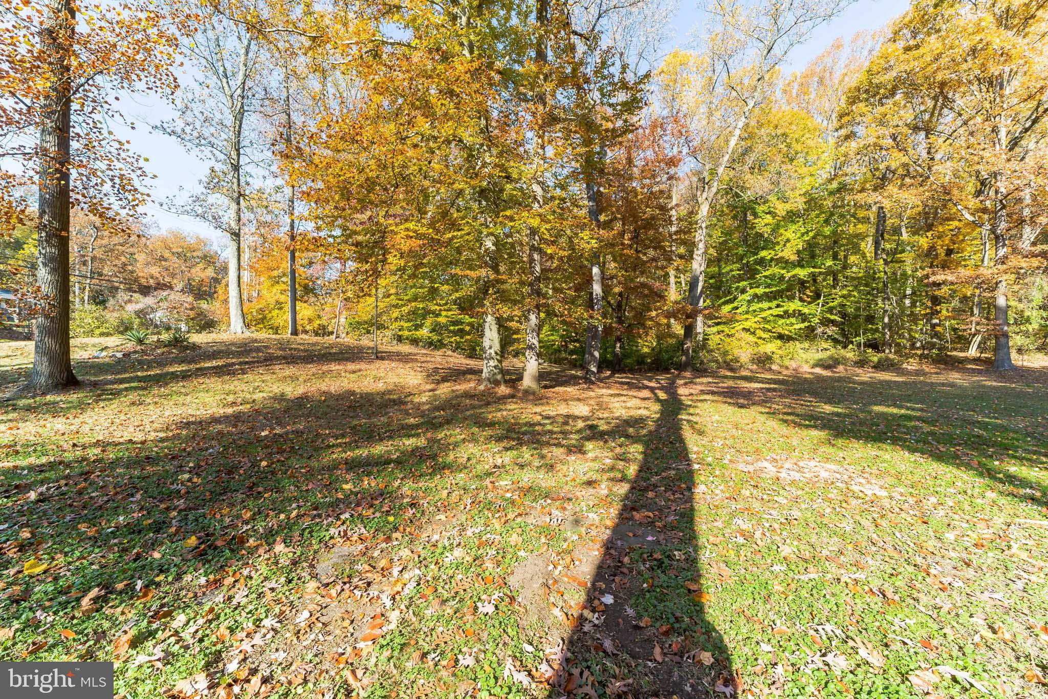1888 Blue Ball Road Elkton, MD 21921 - Photo 6 of 31