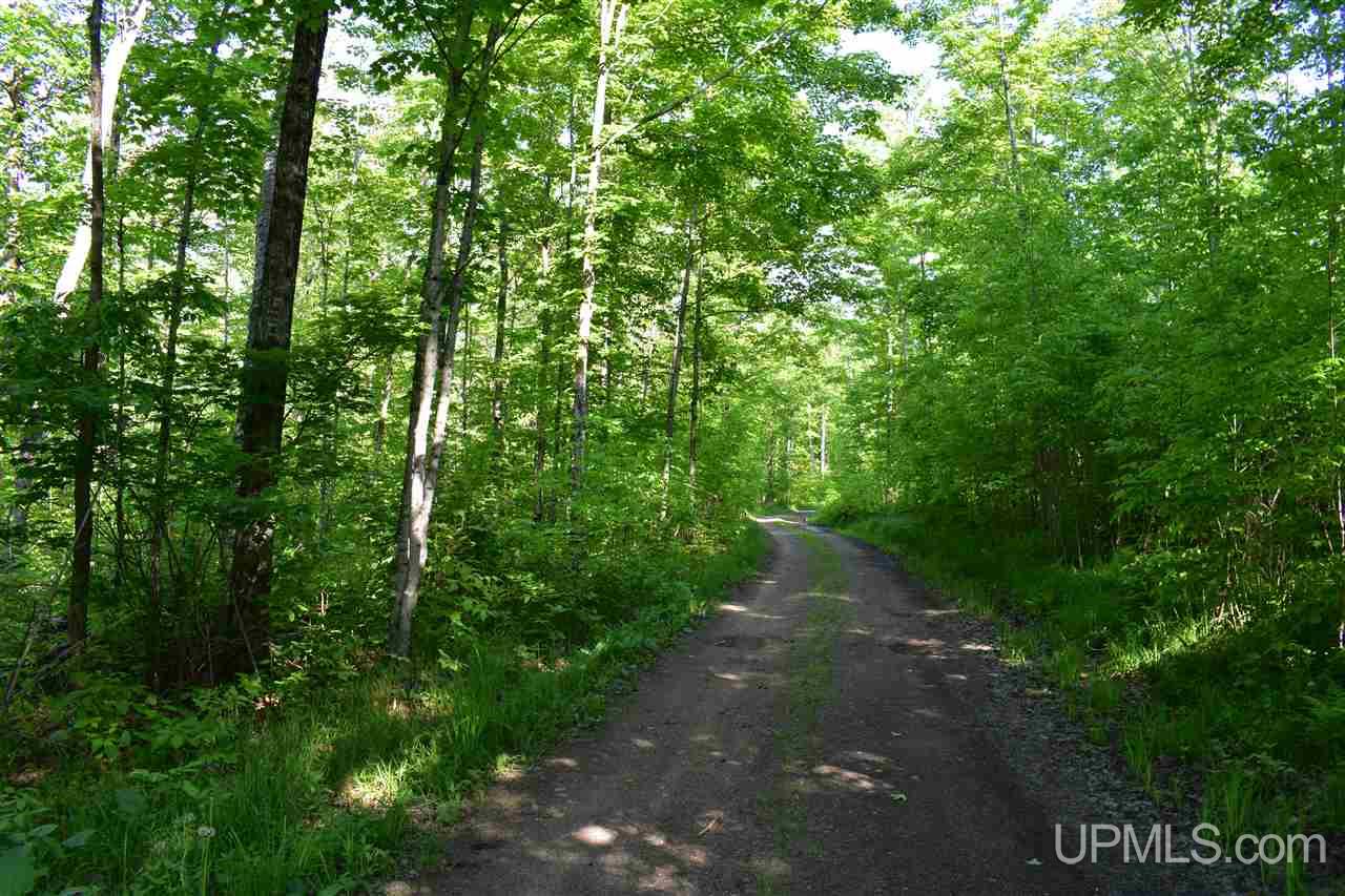 12651 Goodreau Road Skanee, MI 49962 - Photo 27 of 50 Gallery Image 27