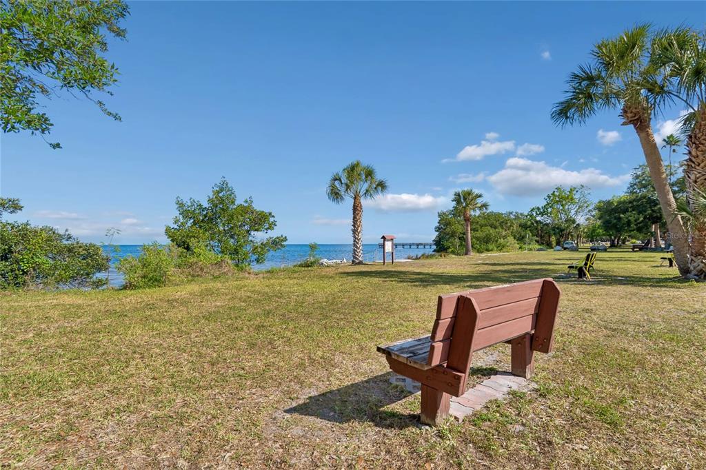 314 Indiana Avenue Crystal Beach, FL 34681 - Photo 33 of 42