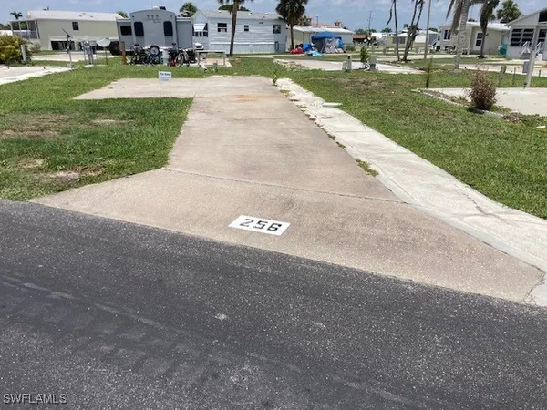 a view of a park with large trees