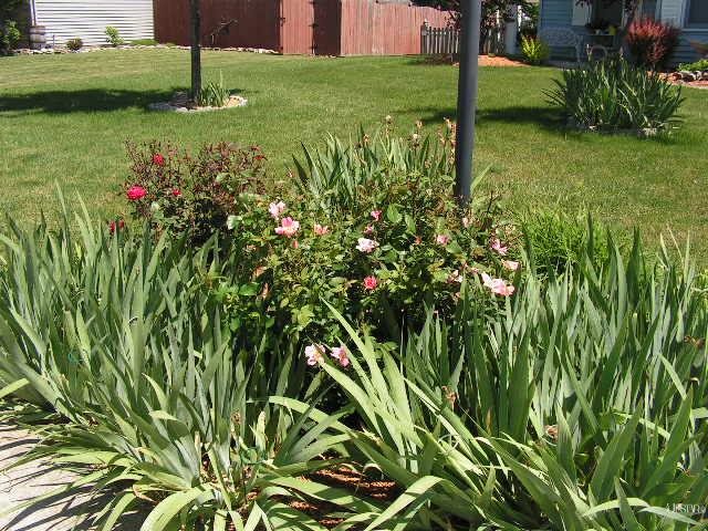 120 West Chapel Chase Drive Decatur, IN 46733 - Photo 8 of 25