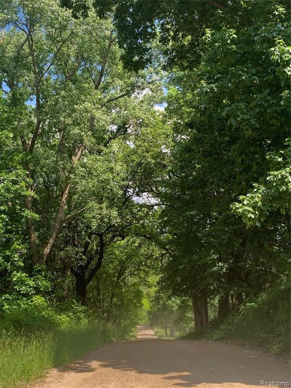 0 Colby Road Dexter, MI 48130 - Photo 4 of 10