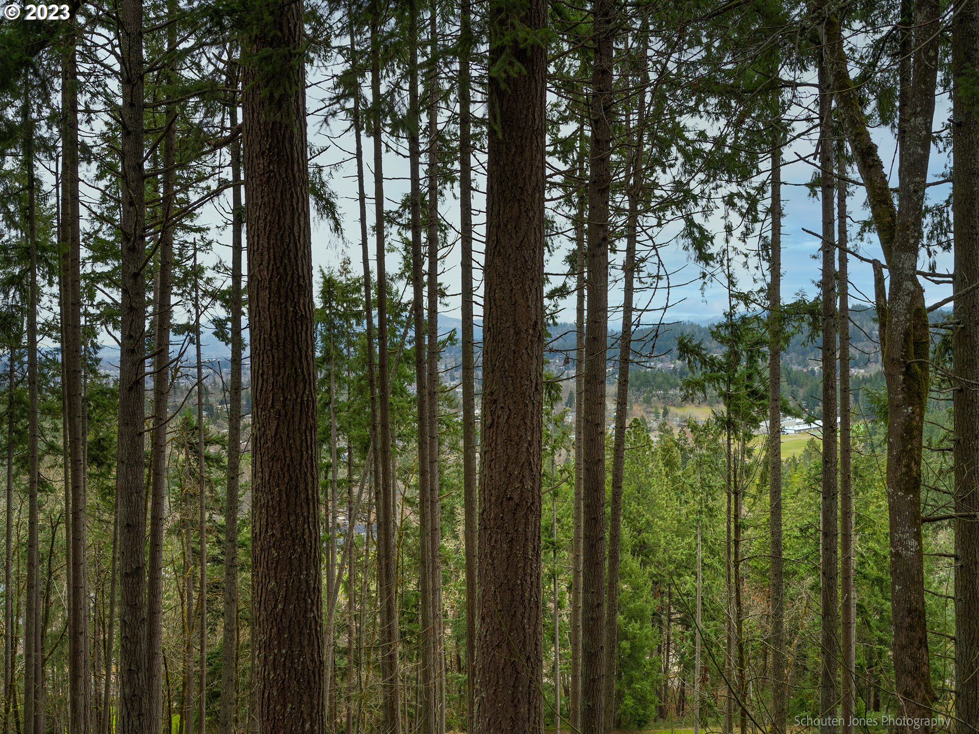 130 Treehill Loop Eugene, OR 97405 - Photo 9 of 42 View