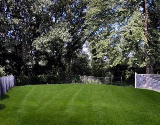 799 Lindsay Road Carnegie, PA 15106 - Photo 7 of 8 Yard/Garden.