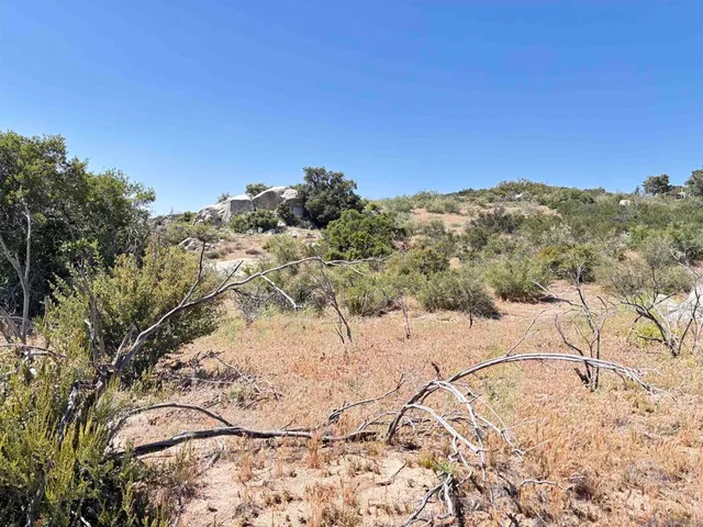 a view of a yard with mountain view