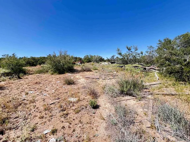 a view of a road with an ocean beach