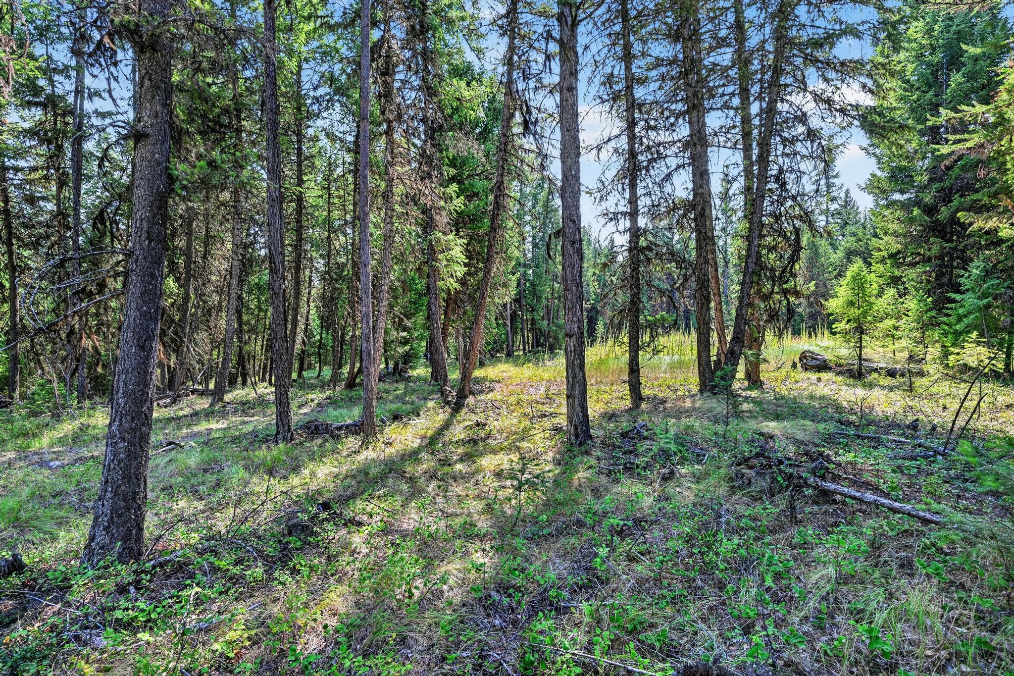 Lot 5 Forest Ridge Road Eureka, MT 59917 - Photo 21 of 23 Gallery Image 21