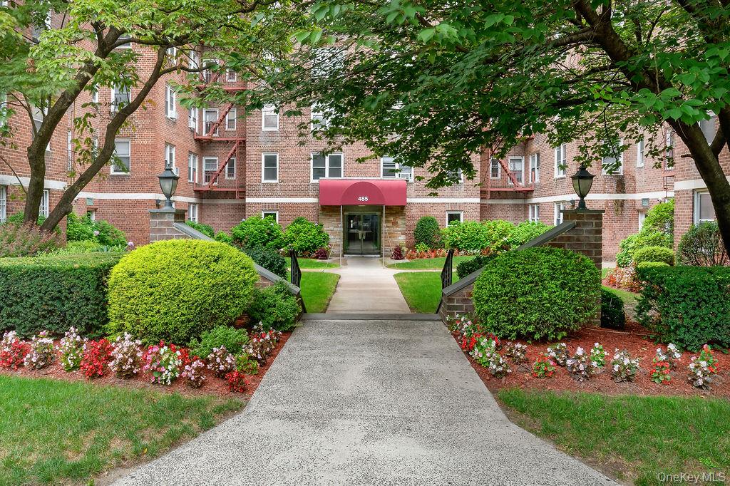 a view of a patio with flower plants and large trees